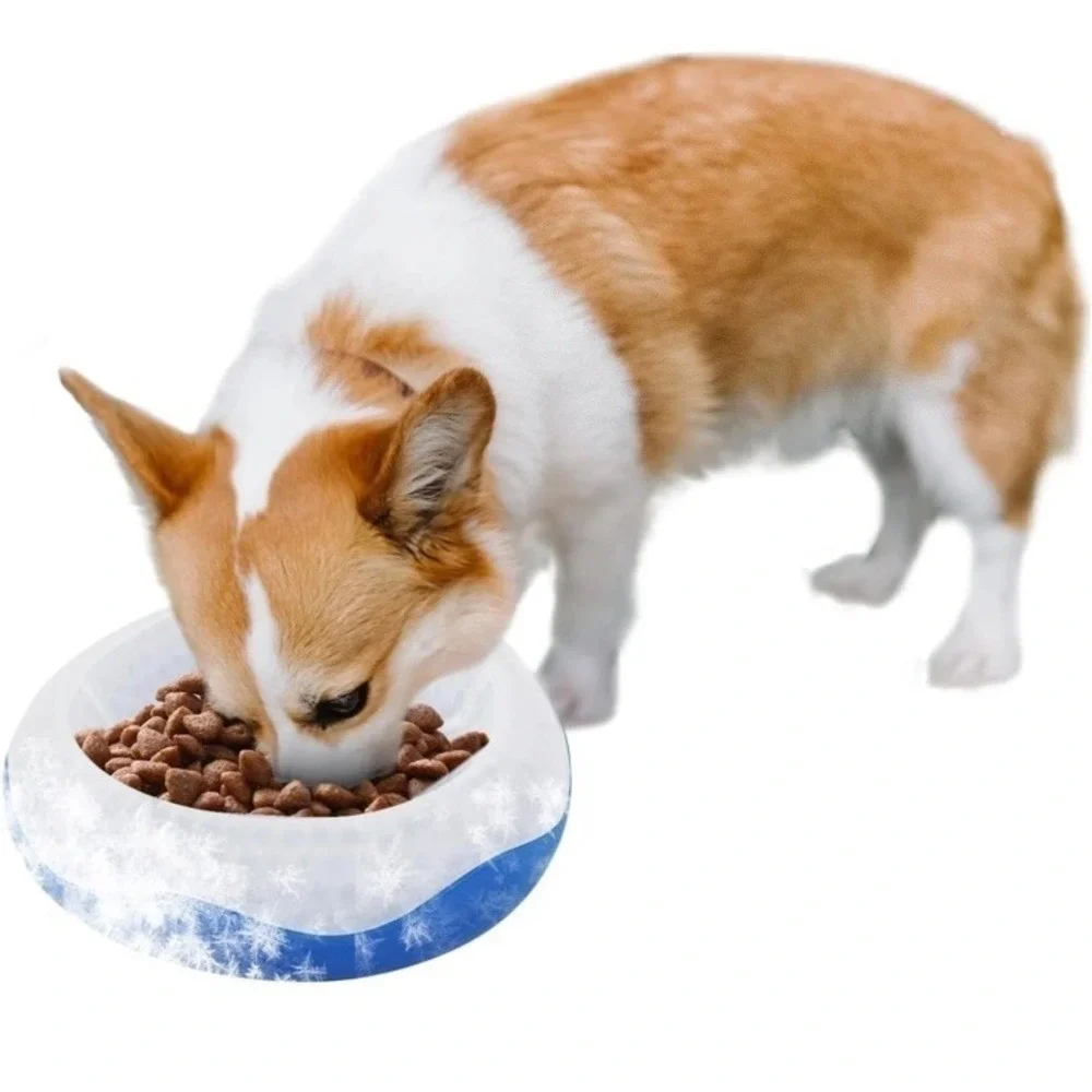 All For Paws Dog Bowl Chill Out Cooler Dish Medium 350 ML for Pet Food or Water